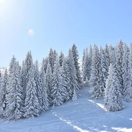 Gorstak I I Ii Apartment Jahorina